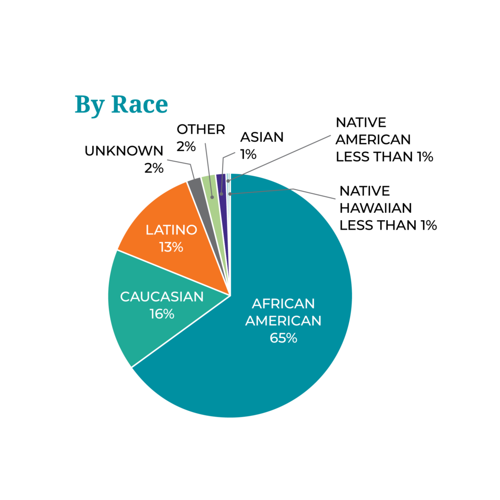 A pie chart of Access Living FY2019 consumers by race.