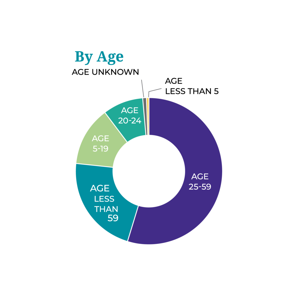 A pie chart of Access Living FY2019 consumers by age.