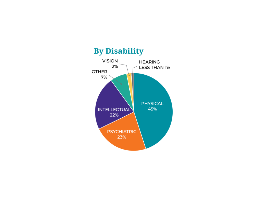 A pie chart of Access Living FY2019 consumers by disability.